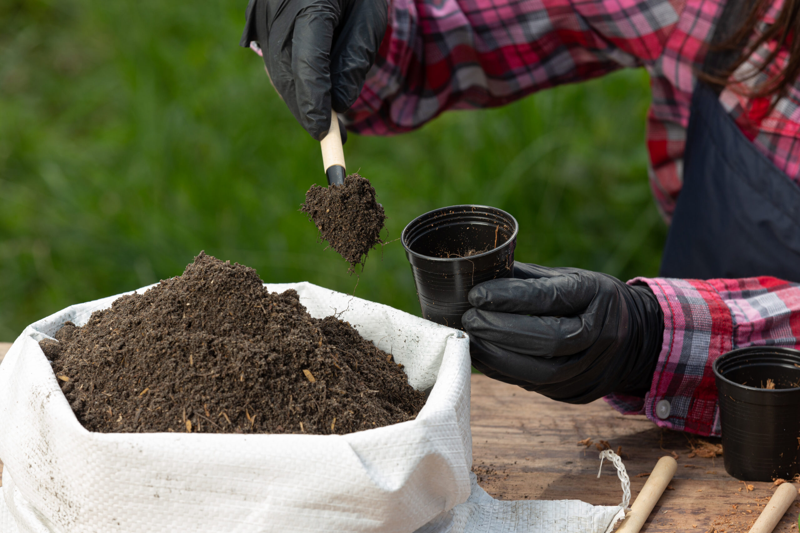 Closeup picture of Gardener's Hands Planting Plant