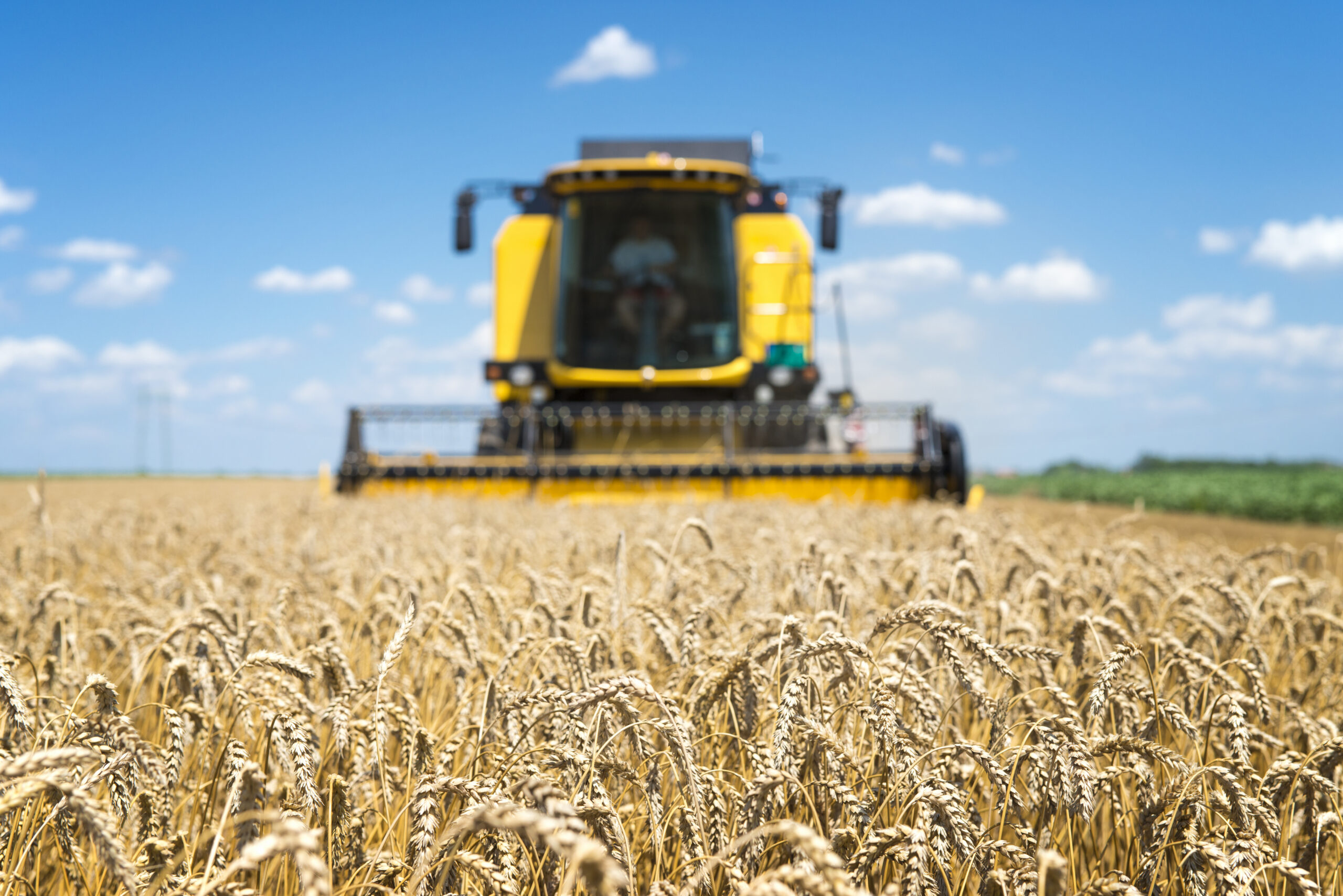 Combine harvester working in the field.